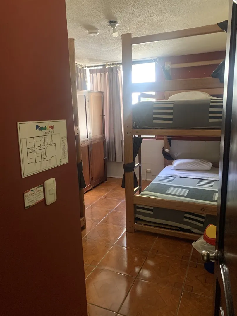 Papacho's Hostel 3