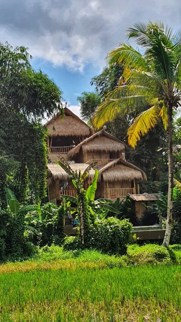 Bali Bamboo Jungle Huts and Hostel