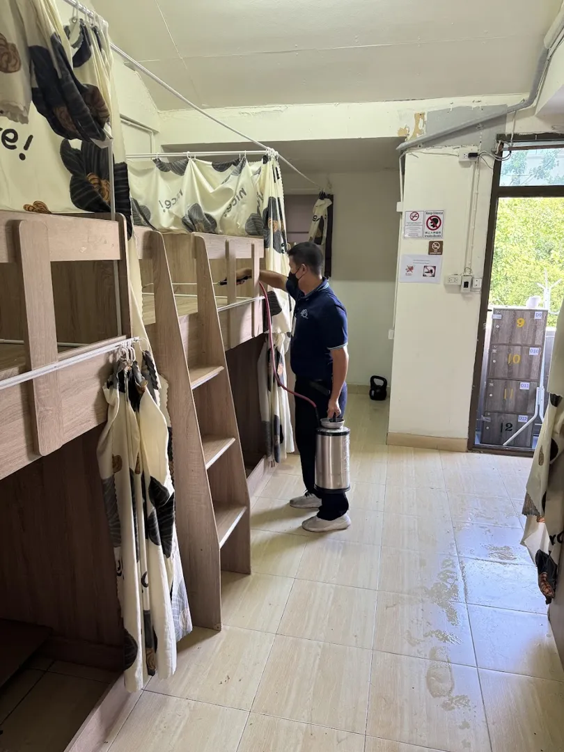 Panda Lodge Home Stay 5