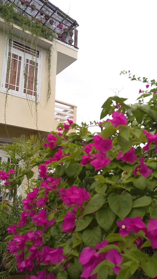 Skybird Homestay 5