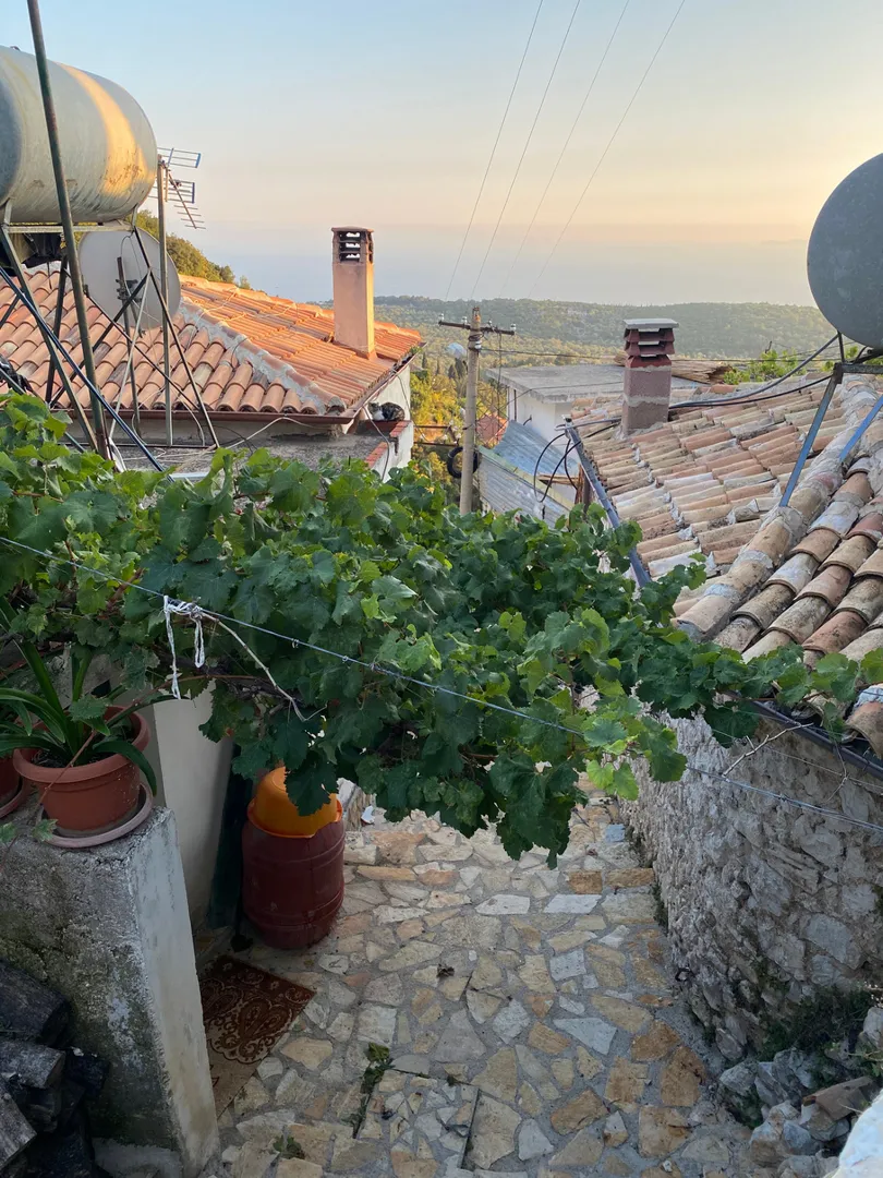 Shotgun Hostel and Guesthouse 3
