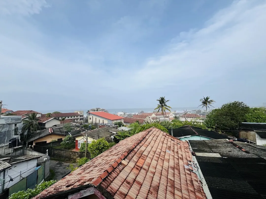 Galle city nest