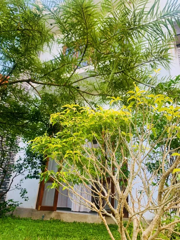 Jungle City Hostel 2