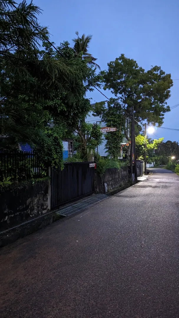 Jungle City Hostel 3