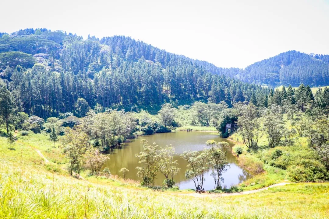 Bellwood Hills Resort and Spa 4