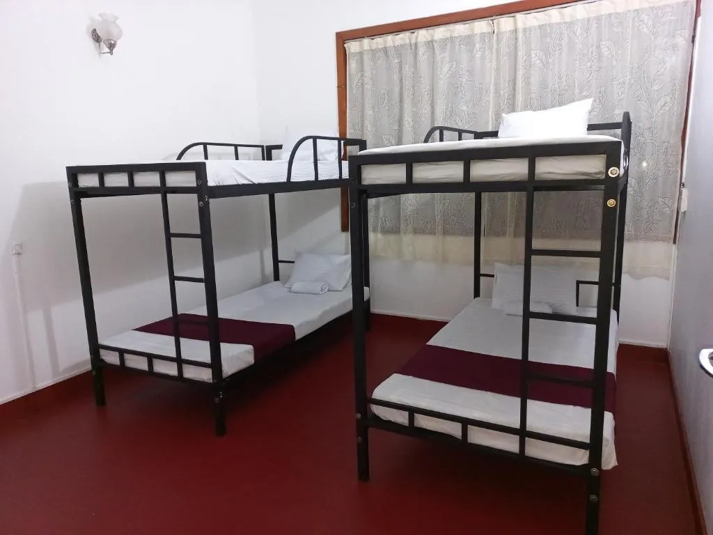 Lazy Bear Hostel