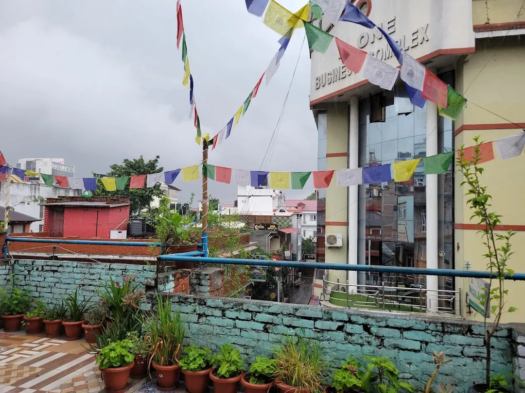 Mountain Backpackers Hostel