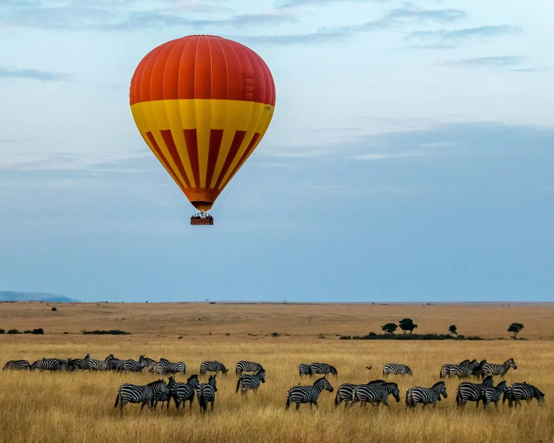Blue Elephant Hostel