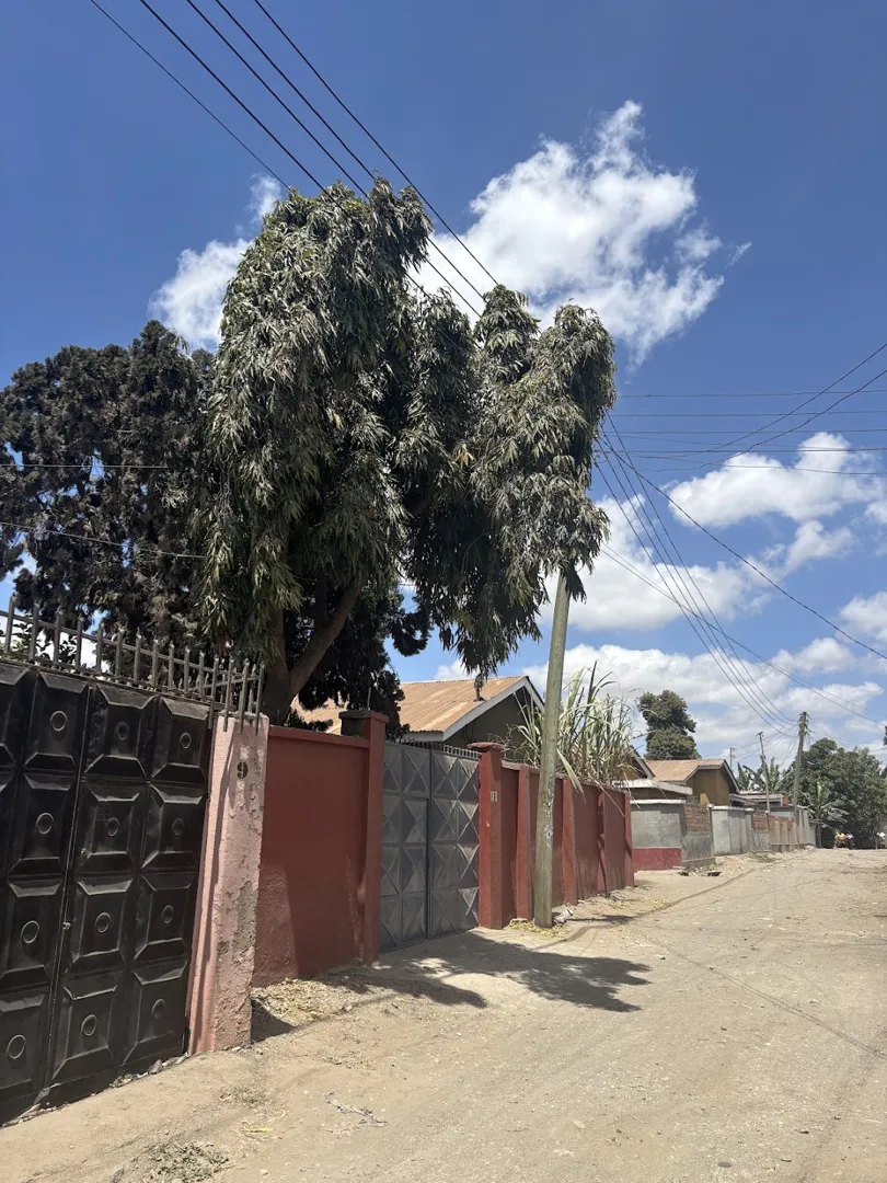 Msovi House