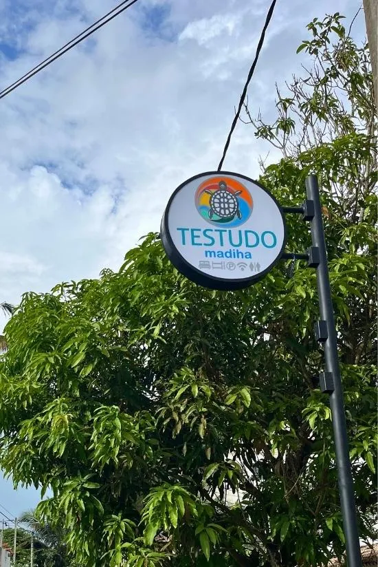 Testudo Madiha 3