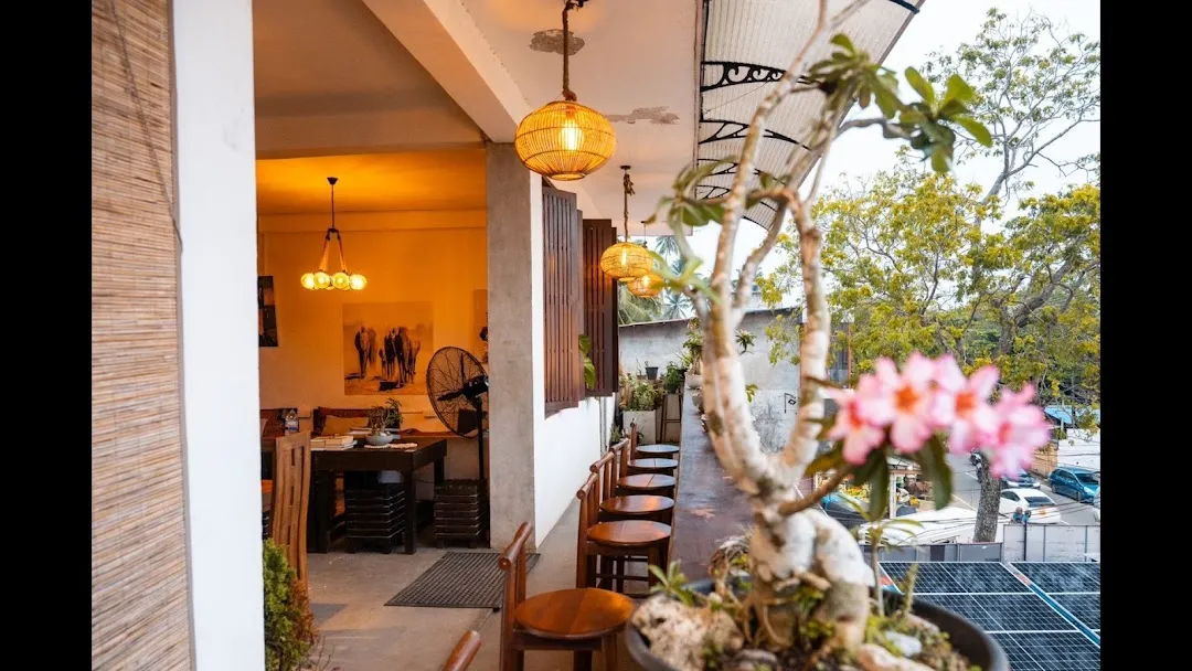 Yasi surf lodge & Cafe 5