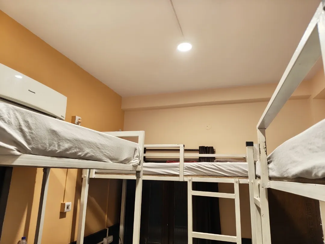 Social Safari Hostel 2