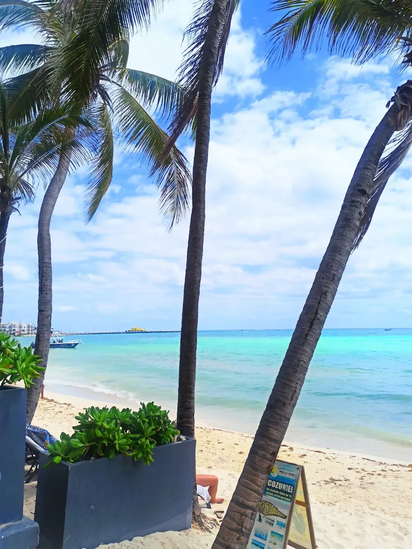 The Hostal Inn Playa del Carmen 4