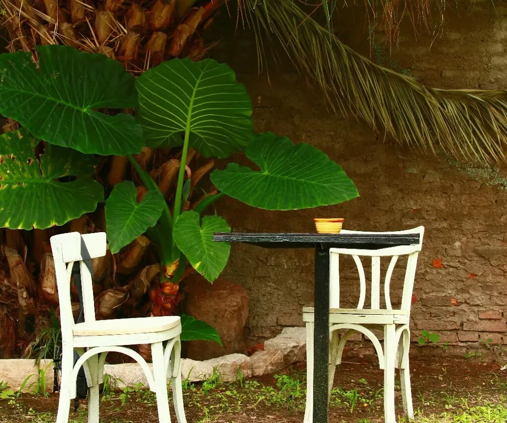 Hostel Trotamundos Salta 5