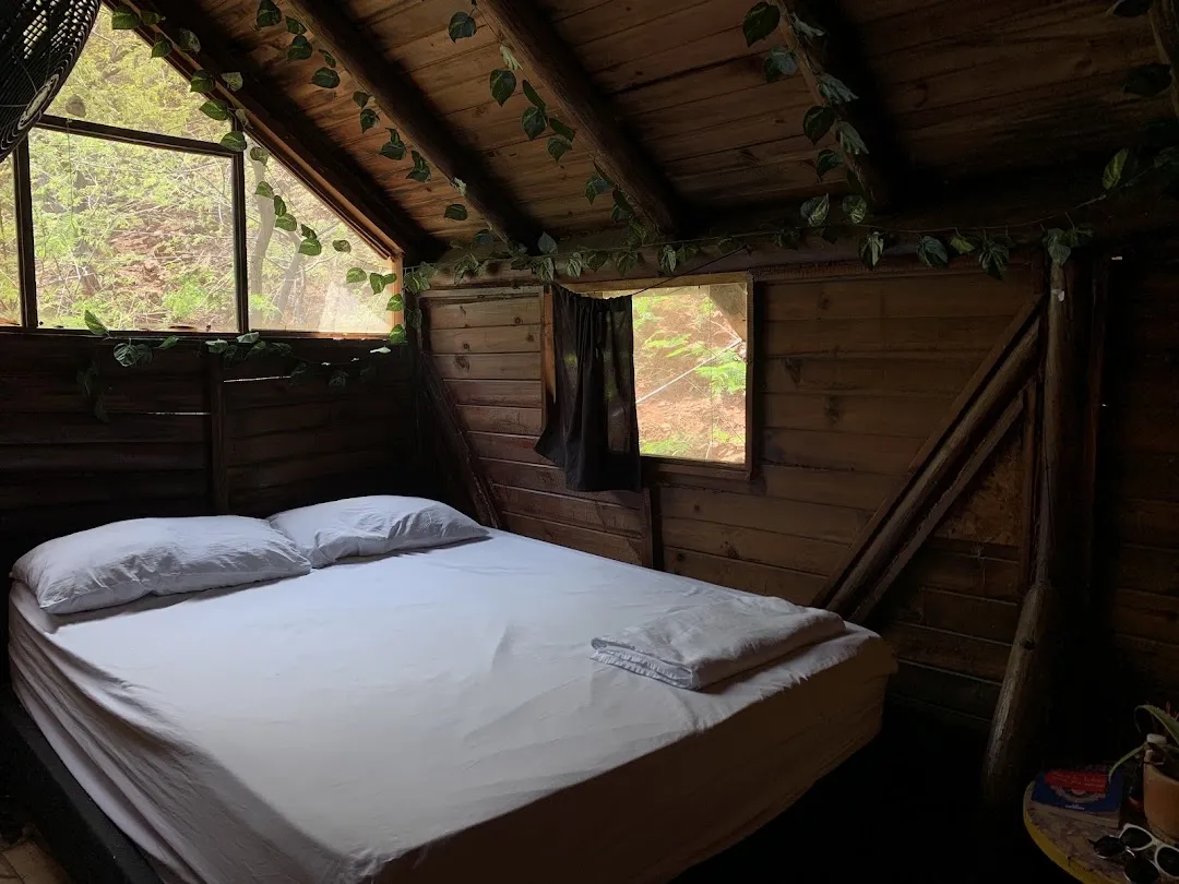 tamarindo beach hostel 2