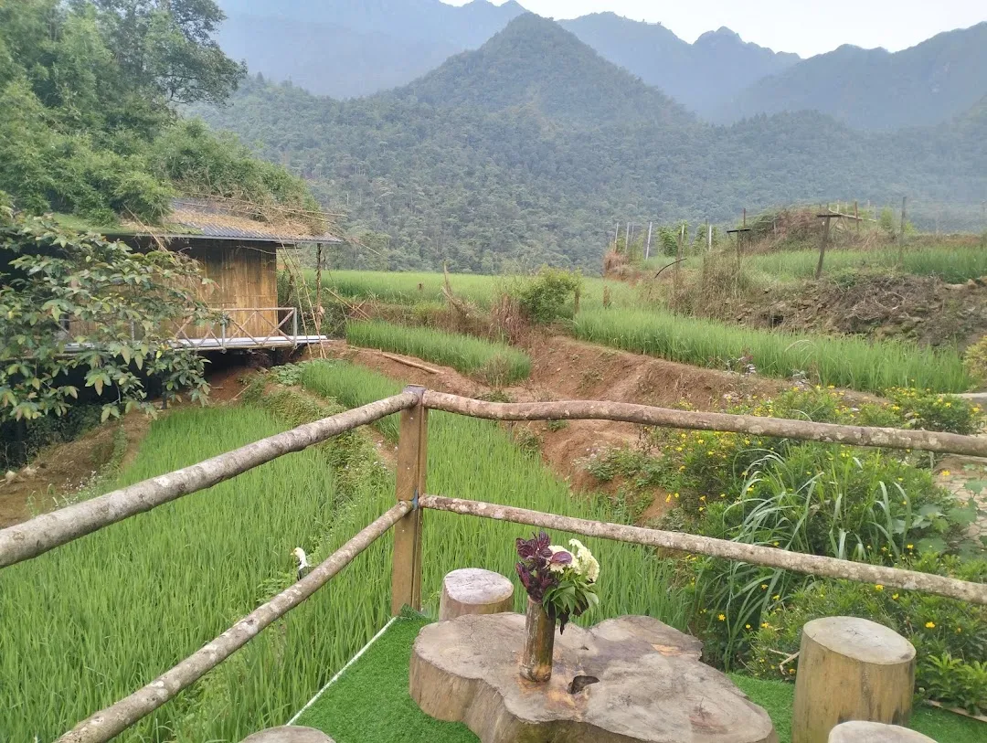 Zoo si homestay