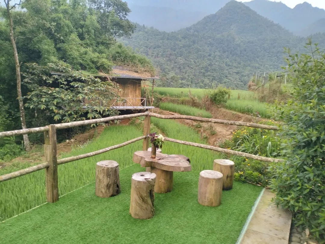 Zoo si homestay 2