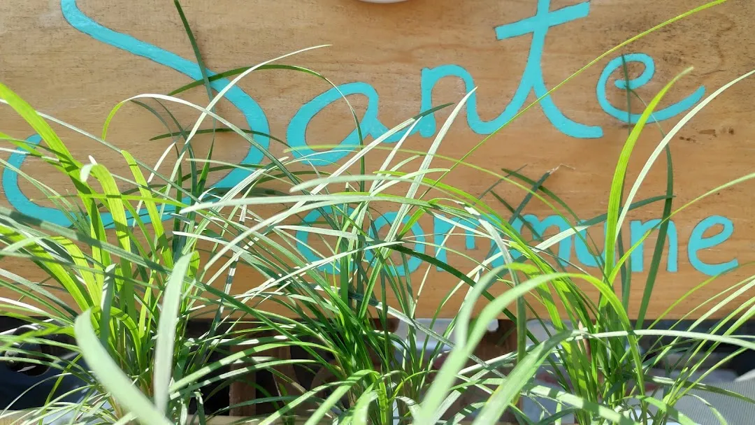 SANTE COMMUNE Hostel Yogyakarta 4