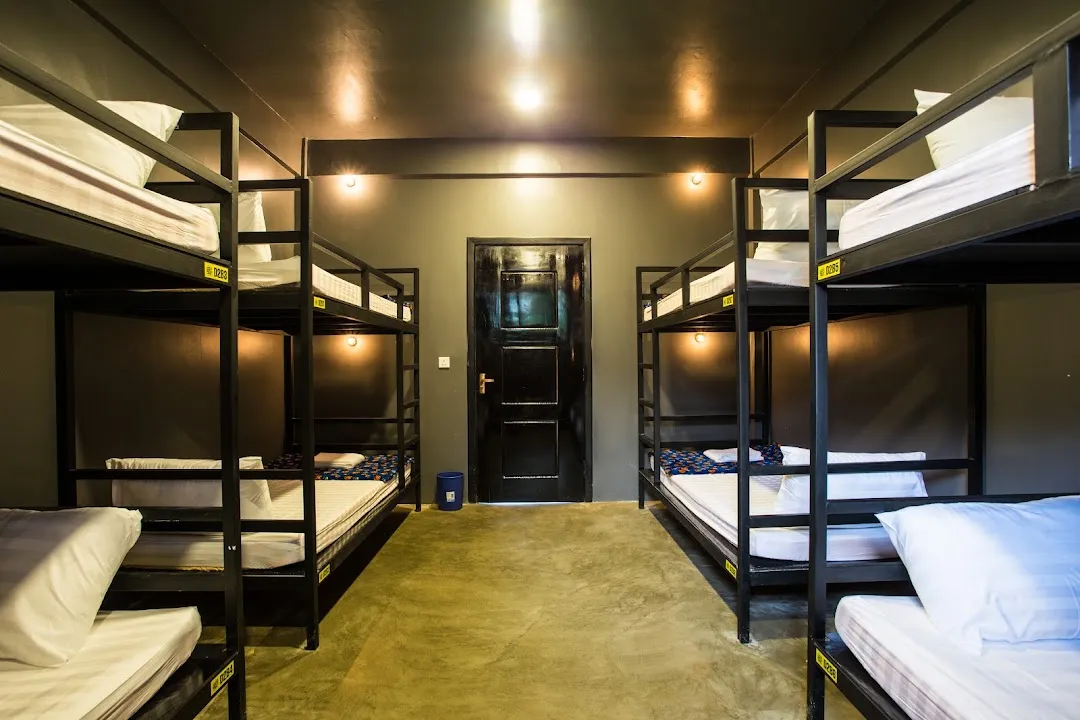 White Rabbit Hostel Siem Reap 5