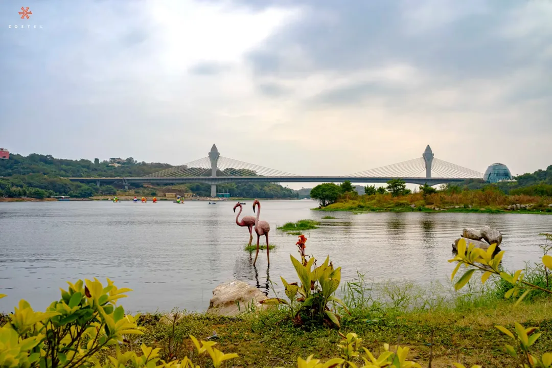 Zostel Hyderabad 2
