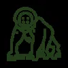 Backpacker Lodge 5