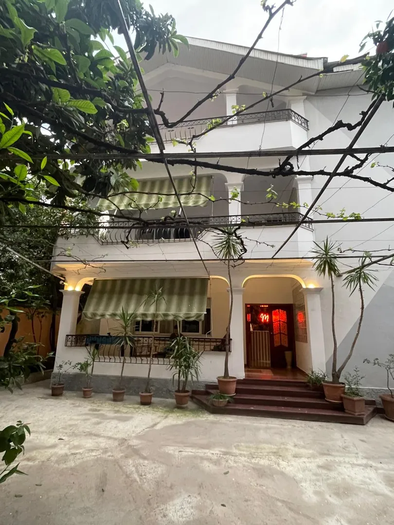 Mandarine Hostel 4